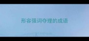 形容强词夺理的成语