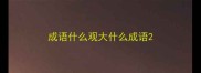 成语什么观大什么成语