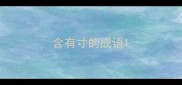 含有寸的成语