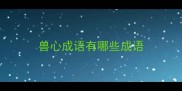兽心成语有哪些成语