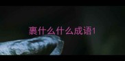 裹什么什么成语
