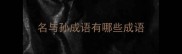 名与孙成语有哪些成语