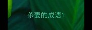 杀妻的成语