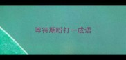 等待期盼打一成语