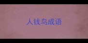 人钱鸟成语