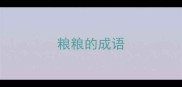 粮粮的成语
