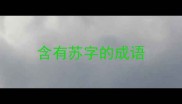 含有苏字的成语