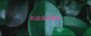 积成语有哪些