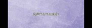 风声什么什么成语
