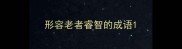 形容老者睿智的成语