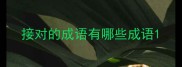 接对的成语有哪些成语