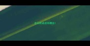 含曰的成语有哪些
