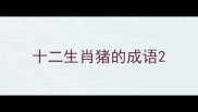 十二生肖猪的成语