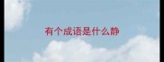 有个成语是什么静