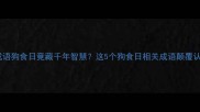 冷门成语狗食日竟藏千年智慧这5个狗食日相关成语颠覆认知
