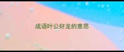 成语叶公好龙的意思