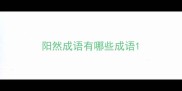 阳然成语有哪些成语