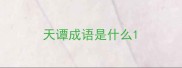天谭成语是什么