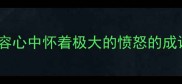 形容心中怀着极大的愤怒的成语