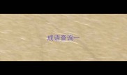 成语查询一