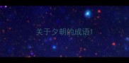 关于夕朝的成语