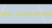 乱世佳人成语密码从薛宝钗到职场精英的处世智慧