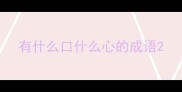 有什么口什么心的成语