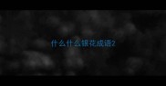 什么什么银花成语