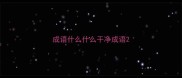 成语什么什么干净成语