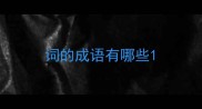词的成语有哪些