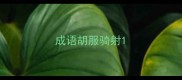 成语胡服骑射