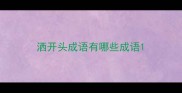 洒开头成语有哪些成语