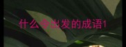 什么令出发的成语