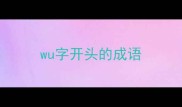 wu字开头的成语