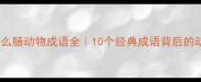 什么肚什么肠动物成语全10个经典成语背后的动物智慧
