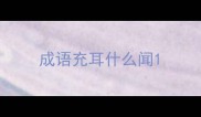 成语充耳什么闻