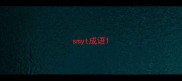 smyt成语
