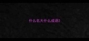 什么名大什么成语
