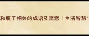 10个与镜子和瓶子相关的成语及寓意生活智慧与传统文化