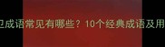相卫成语常见有哪些10个经典成语及用法