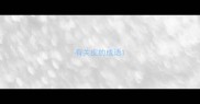 有关皮的成语