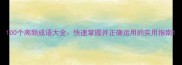 100个高频成语大全快速掌握并正确运用的实用指南
