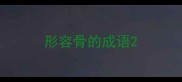形容骨的成语