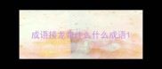 成语接龙奇什么什么成语