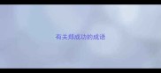 有关郑成功的成语