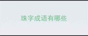 珠字成语有哪些