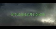 护字成语接龙开头的成语
