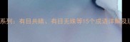 成语中的有目系列有目共睹有目无珠等15个成语详解及现代应用指南
