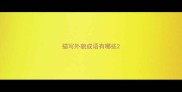 描写外貌成语有哪些