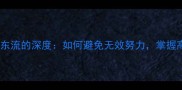 干货成语付之东流的深度如何避免无效努力掌握高效成长秘籍